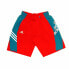 Фото #1 товара Штаны для взрослых Adidas Sportswear Синий Красный Мужской
