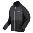 Фото #5 товара REGATTA Coladane IV fleece