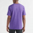 Champion 全刺绣草写短袖T恤 美版 男女同款 紫色 / Футболка Champion T1919G-549465-PRC T-Shirt