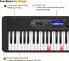 Фото #12 товара Casio LK-S450 Casiotone Top Illuminated Keyboard with 61 Velocity-Dynamic Keys in Piano Look with 600 Sounds and 200 Accompaniment Rhythms & Amazon Basics AA Alkaline Batteries