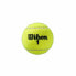 Фото #2 товара Теннисные мячи Wilson Roland Garros All Court Жёлтый