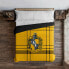 Фото #1 товара Пододеяльник Harry Potter Classic Hufflepuff 200 x 200 cm 120 кровать