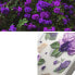 Ringke Ringke Fusion Design pancerne etui pokrowiec z żelową ramką iPhone 14 Plus przezroczysty (Purple rose) (FD637E29)