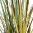 Фото #3 товара Декоративное растение PVC Цемент Ткань 120 cm 14 x 14 x 12,5 cm