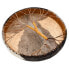 Terre Shaman Drum Goat Tree 50