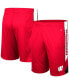 ფოტო #1 პროდუქტის Men's Red Wisconsin Badgers Pool Time Shorts