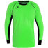 Фото #3 товара Joma Protect Long Sleeve goalkeeper sweatshirt 100447.021