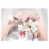 Фото #1 товара Fototapete White Magnolias