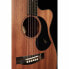 Maton EBW808C Blackwood