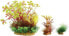 Фото #1 товара Zolux Dekoracja roślinna PlantKit Wiha model 4 (352143)