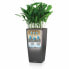 Фото #3 товара Горшок для цветов Lechuza с автополивом Коричневый 39,5 x 39,5 x 75,5 см Пластик Прямоугольный