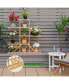 Фото #8 товара Bamboo Plant Stand 5 tier 10 Potted Plant Shelf Display Holder