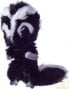 Фото #1 товара Barry King Zabawka dla psa Skunks czarno-biały 29 cm