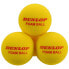Фото #1 товара Мяч для большого тенниса Dunlop Indoor Foam 12 шт.