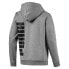 [580567-03] Mens Puma BIG LOGO FULL ZIP HOODY FLEECE