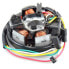 Фото #1 товара TECNIUM Aprilia AF1 stator