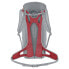 Фото #3 товара SALEWA Alp Mate 24L backpack