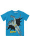 Фото #1 товара Футболка Batman Heroic Turquoise 6-9 Yrs