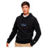 Фото #1 товара SUPERDRY Sportswear Logo Loose hoodie