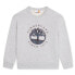 Фото #2 товара TIMBERLAND T60319 sweatshirt