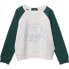 Фото #1 товара REPLAY SB2068.050.23706 sweatshirt