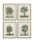 Countryside Growth Framed Art, Set of 4