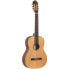 Фото #2 товара Ortega R131 Classical Guitar