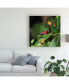 Фото #3 товара Kurt Shaffer Doris Longwing Butterfly Canvas Art - 20" x 25"