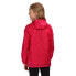 Фото #7 товара REGATTA Pack-It III jacket