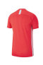 Erkek Kırmızı T-shirt Aj9088-657-657