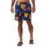 Фото #1 товара COLUMBIA Big Dippers Water 8´´ Swimming Shorts