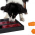 Фото #4 товара Trixie SZACHY dla psów Dog Activity 'Chess' 40×10×27 cm tworzywo sztuczn.