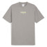 Фото #3 товара Puma Pleasures X Graphic Crew Neck Short Sleeve T-Shirt Mens Grey Casual Tops 62