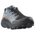 SALOMON Thundercross Goretex trail running shoes