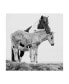 Фото #1 товара PH Burchett Black and White Horses I Canvas Art - 20" x 25"