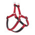 ფოტო #1 პროდუქტის FERPLAST Daytona Deluxe Harness