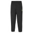 Фото #1 товара Puma X Santa Cruz Twill Pants Mens Size L Casual Athletic Bottoms 532244-01