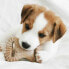 Фото #4 товара Прорезыватель для зубов для собак Benebone Животные