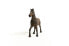 Фото #3 товара Игровая фигурка Schleich Oldenburg Stallion Farm World (Фермерский Мир)