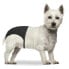 ფოტო #2 პროდუქტის DUVO+ Slip Dog Pants XS 18-23 cm