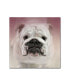 Фото #1 товара Jai Johnson 'Got Treat Bulldog Puppy' Canvas Art - 14" x 14" x 2"