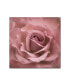 Фото #1 товара Картина холст маслами Trademark Global cora Niele 'Розовая дымка Розовая Роза' - 24" x 24" x 2"