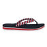 Tommy Hilfiger Dw5 Woven Webbing