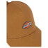 DICKIES Hanston Trucker Cap