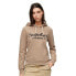 SUPERDRY Metallic Venue Logo hoodie