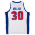 Фото #2 товара MITCHELL & NESS NBA AUTHENTIC JERSEY DETROIT PISTONS 03 RASHEED WALLACE