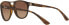 Фото #5 товара Очки Ray-Ban BRAD RB 4170 865/13 58