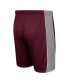 ფოტო #3 პროდუქტის Men's Maroon Texas A&M Aggies Panel Shorts