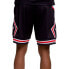 Фото #4 товара Шорты для баскетбола Mitchell&Ness Big Face 97 Черные