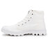 Palladium Pampa HI